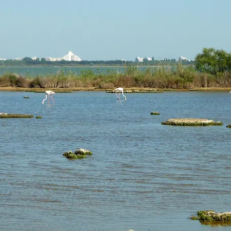 Mer Indigo & Flamants Roses 5Mn Plage Et Parc Des Expositions Arena Aeroport Mauguio Exterior photo